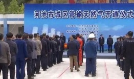 广西河池新闻爆料事件视频,视频揭露惊人真相